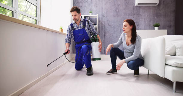 Best Pest Prevention Services  in Meadowdale, WA